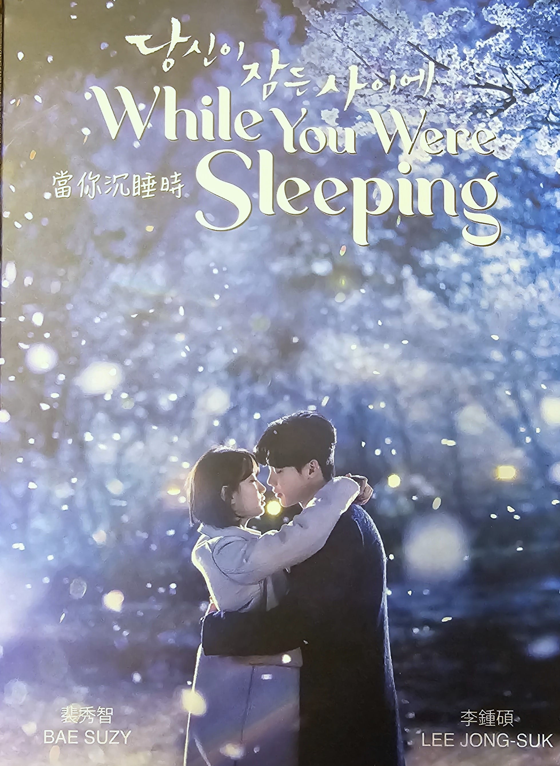 While You Were Sleeping Korean TV Drama DVD Boxset Walmart