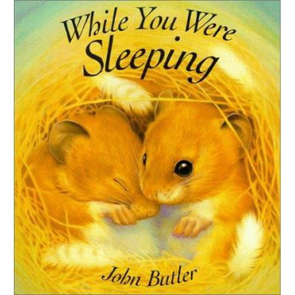 Pre-Owned While You Were Sleeping (Hardcover) 1561452114 9781561452118