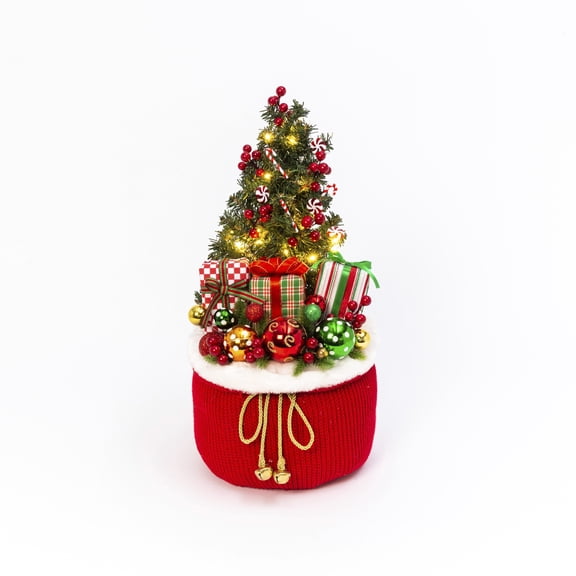 Whimsical 21.5 in H Battery Operated Lighted Holiday Gift
