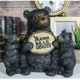 thumbnail image 1 of Whimsical Black Bears Mother With Cubs Holding Mama Bear Knows Best Sign Statue, 1 of 9