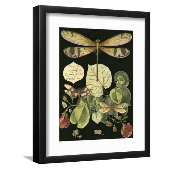 Whimsical Dragonfly on Black II Framed Premium Giclee Print by Unknown, 9" x 12", Sold by Art.com