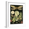 thumbnail image 1 of Whimsical Dragonfly on Black II Framed Premium Giclee Print by Unknown, 9" x 12", Sold by Art.com, 1 of 4