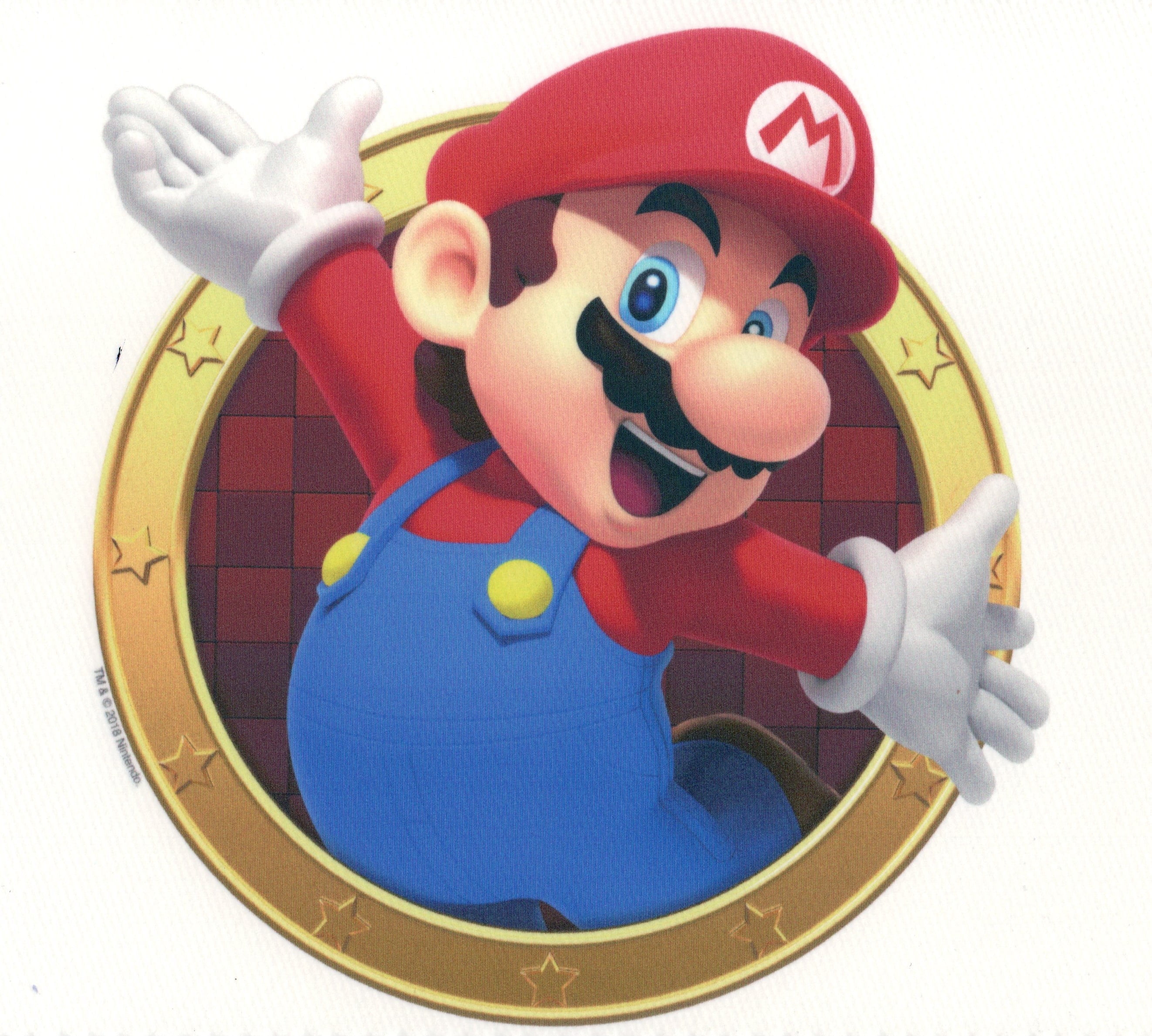 Whimsical Practicality's SMB Super Mario Bros. Edible Icing Image Cake Topper-8 inch Round or Larger