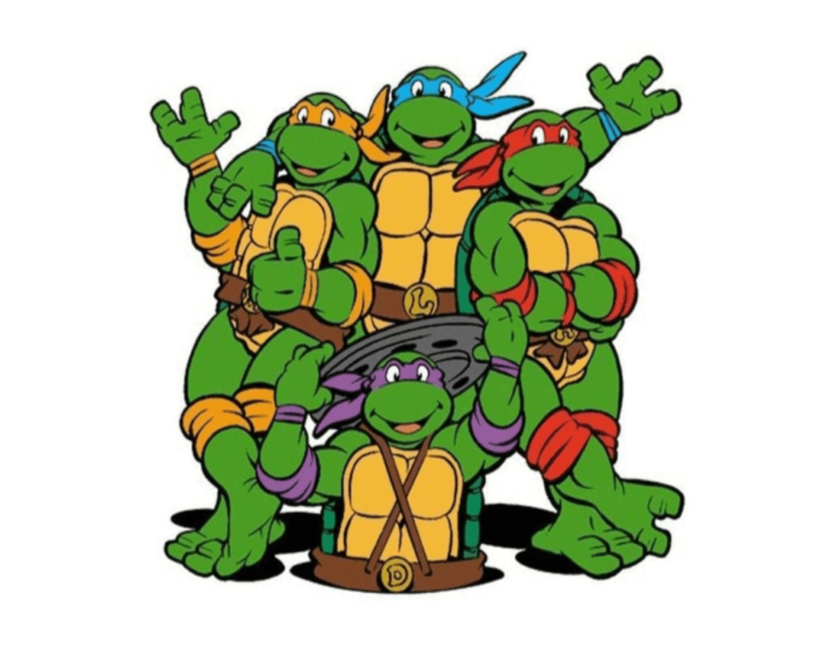 Whimsical Practicality's Teenage Mutant Ninja Turtles Edible Icing Image Cake Topper-8 inch Round or Larger
