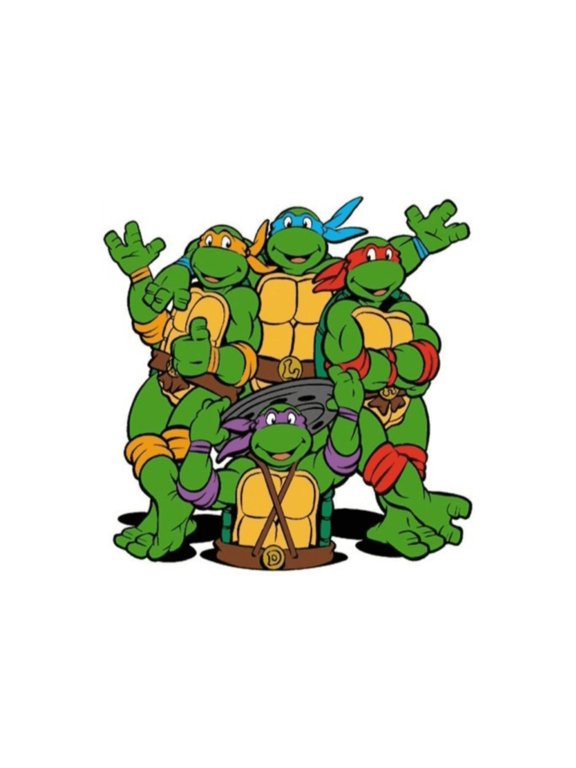 's Teenage Mutant Ninja Turtles Edible Icing Image Cake Topper-8 inch Round or Larger