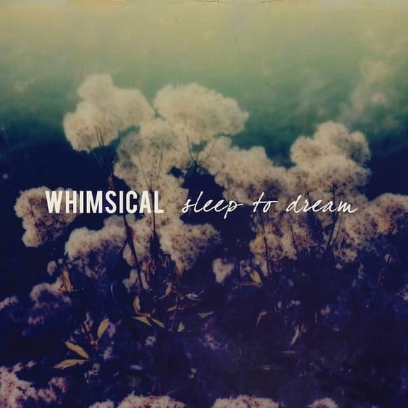 Whimsical - Sleep To Dream - Rock - CD
