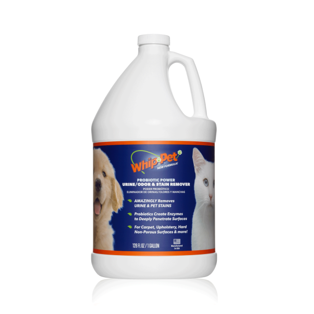 WhipPet Enzyme Odor Destroyer & Stain Remover, Dog Urine & Carpet