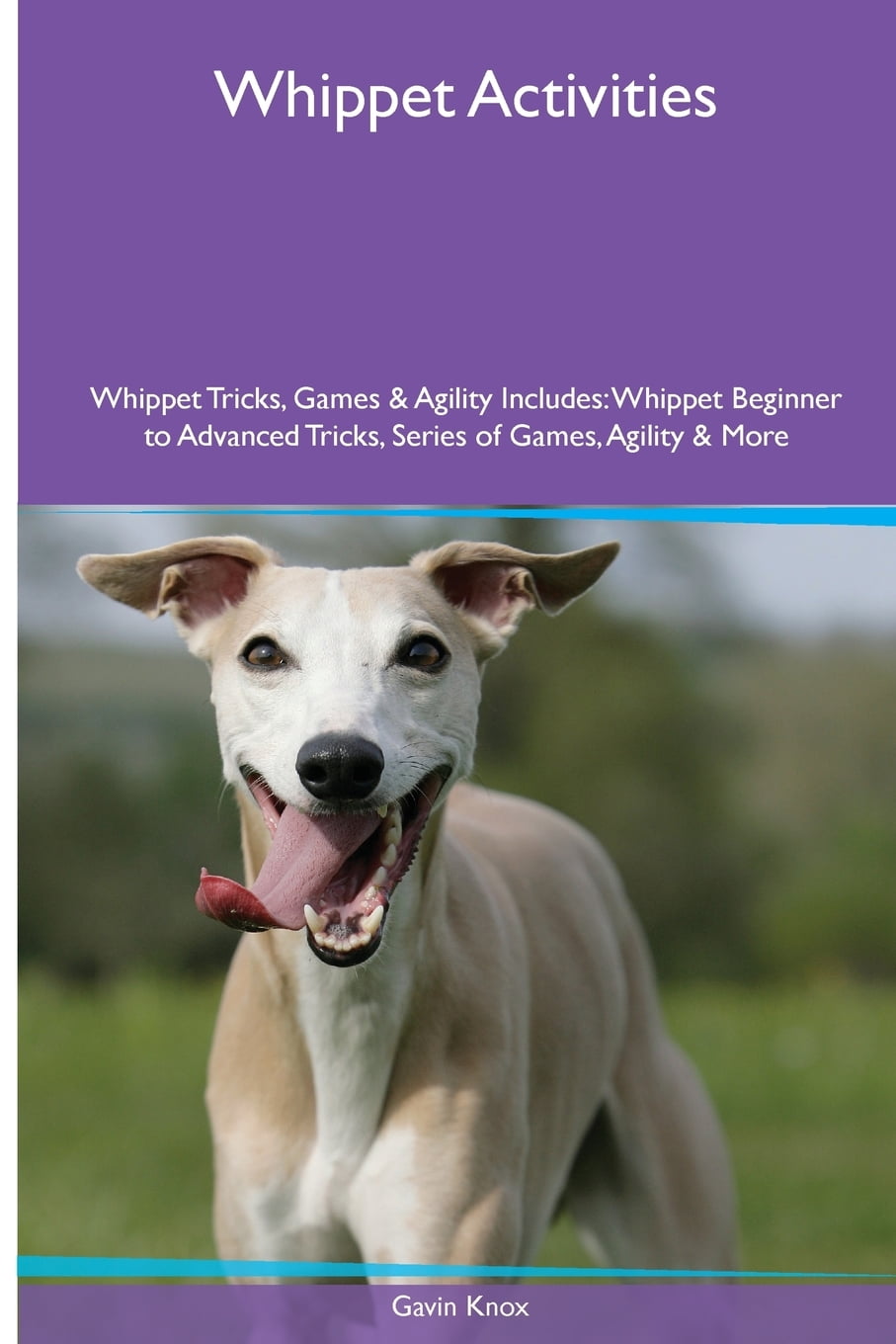 can whippets do agility