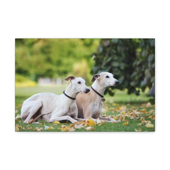 Whippet Couple Whippet Couple Print Animal Wall Art Wildlife Canvas Prints Wall Art Ready to Hang Unframed