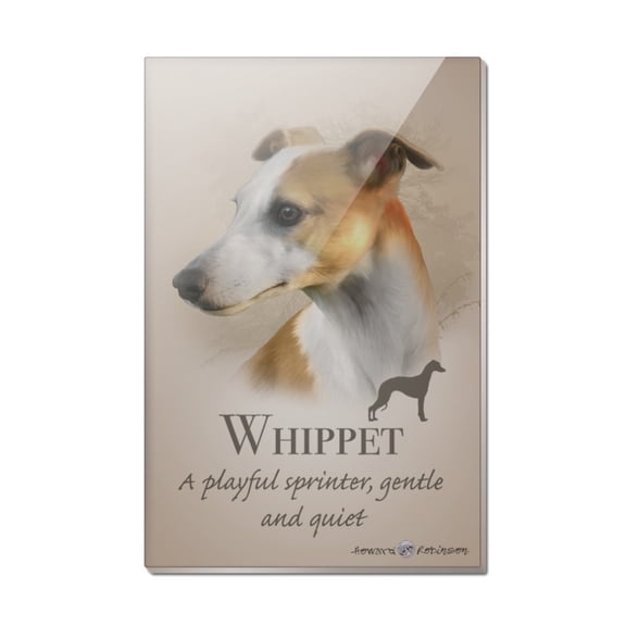 Whippet Dog Breed Rectangle Acrylic Fridge Refrigerator Magnet