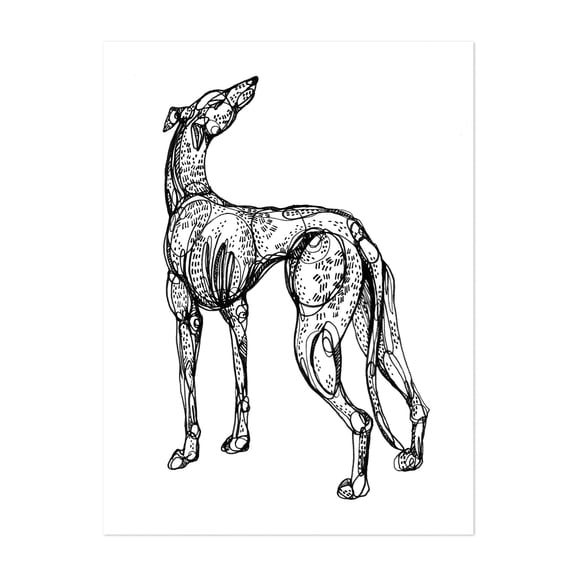 Whippet - Drawing Dog Animal Line Art Abstract Sketch Black and White Illustration Unframed Wall Art Print 5 x 7 inches
