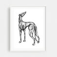 thumbnail image 1 of Whippet - Drawing Dog Animal Line Art Abstract Sketch Black and White Illustration White Framed Wall Art Print 12 x 16 inches, 1 of 3