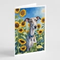 thumbnail image 1 of Whippet in Sunflowers Greeting Cards Pack of 8 7 in x 5 in, 1 of 3