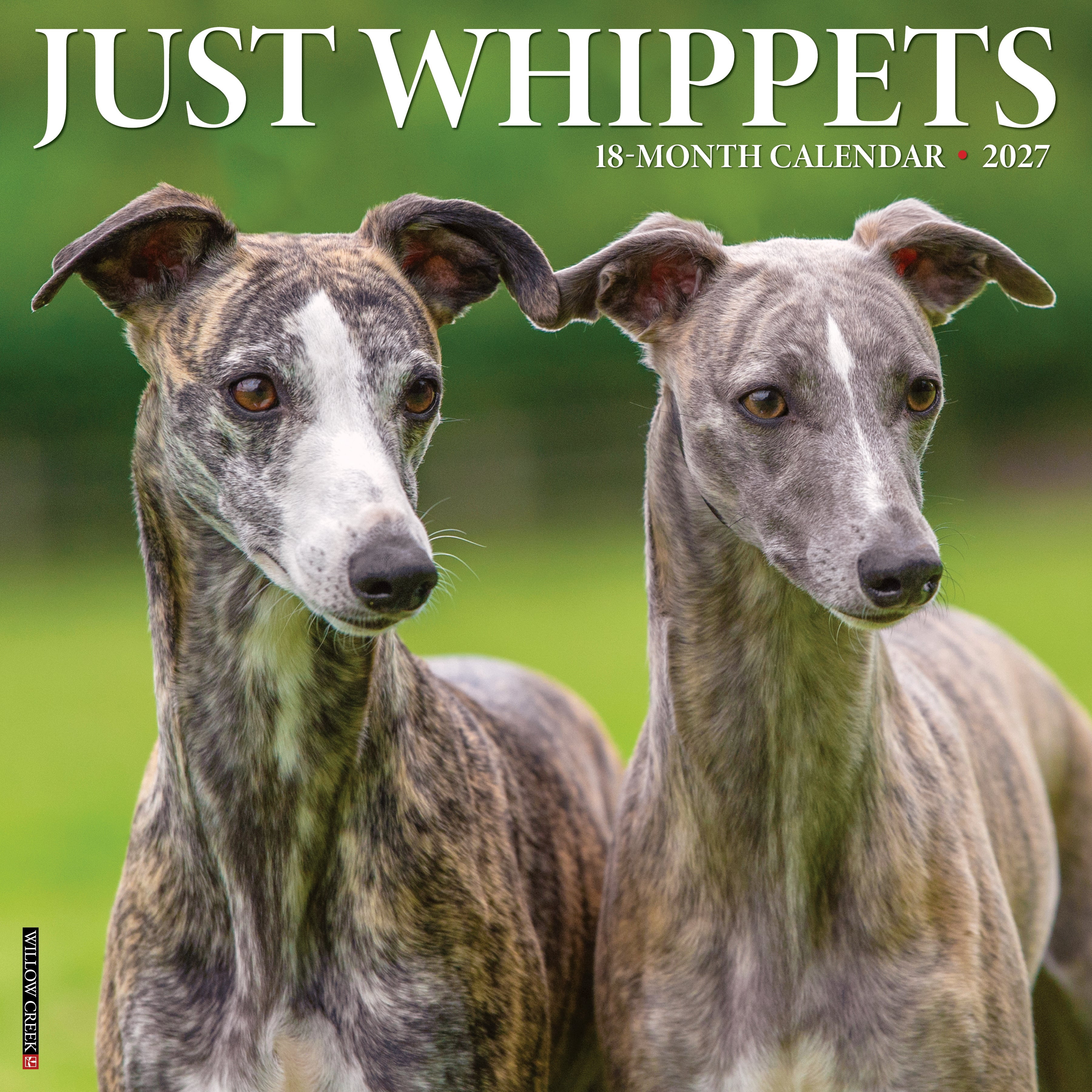 Willow Creek Press, Whippets 2027 Wall Calendar