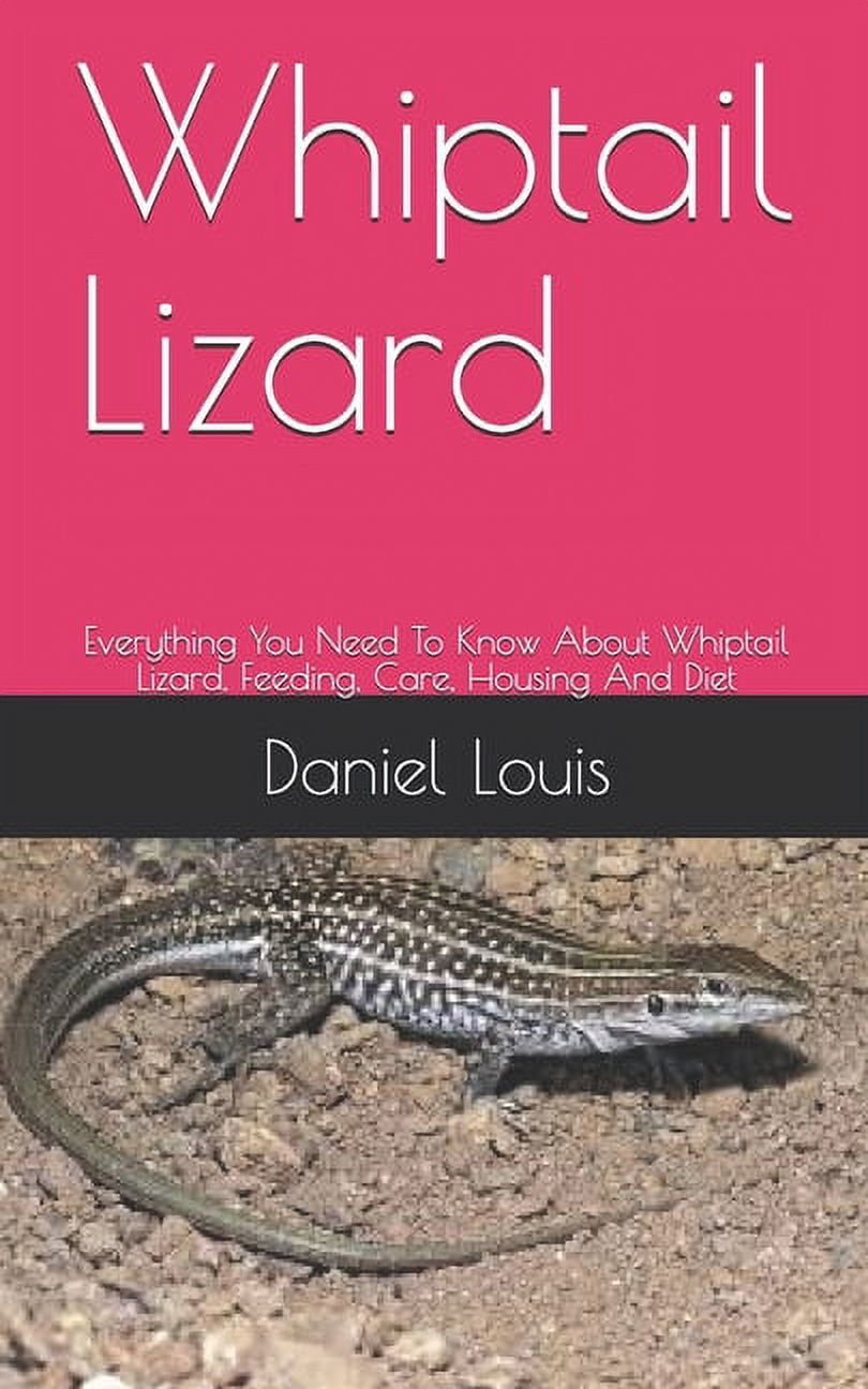 Whiptail Lizard: Everything You Need To Know About Whiptail Lizard, Feeding, Care, Housing And Diet (Paperback)