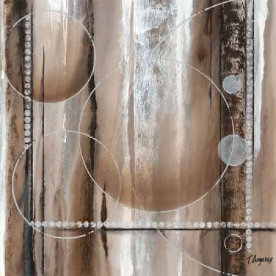 Whirligig II Canvas Art - Tamara Angeney (24 x 24)
