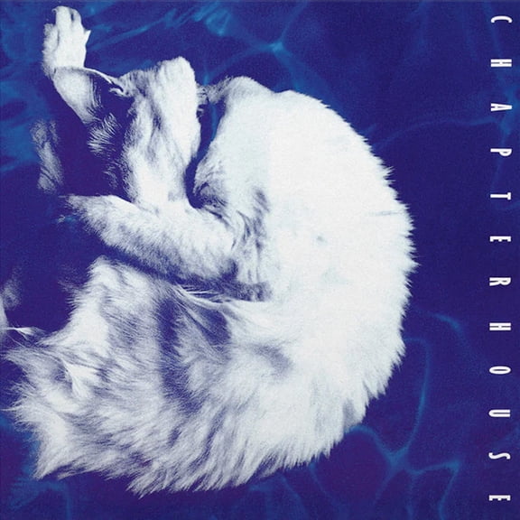 Chapterhouse - Whirlpool - Limited 180-Gram White & Black Marble Colored Vinyl - Music & Performance