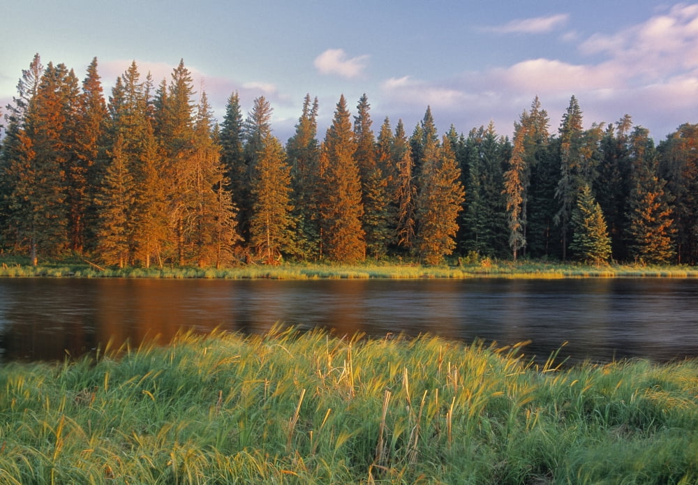 Whirlpool Lake Riding Mountain National Park Manitoba Canada Canvas Art - Darwin Wiggett Design Pics (17 x 11)