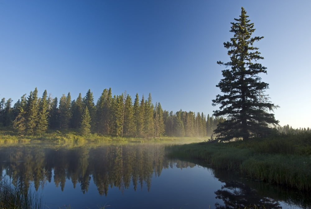 Whirlpool Lake Riding Mountain National Park Manitoba Canvas Art - Dave Reede Design Pics (34 x 22)