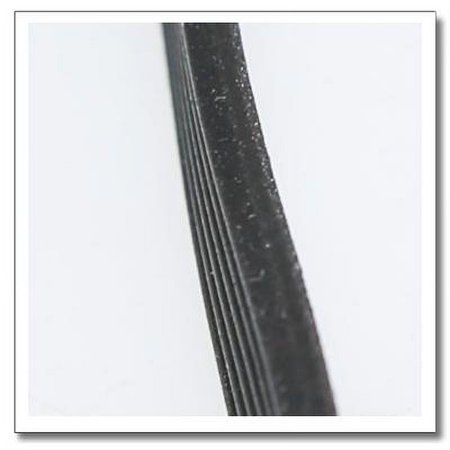 Whirlpool WPW10260319 Belt - OEM Part