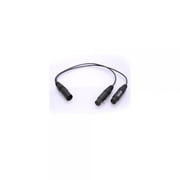 Whirlwind 1.5' XLR Male to 2 XLR Female Y Adapter Cable