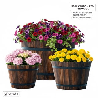 Whiskey Barrel Planter Outdoor 3-Pack - Rustic Wood Planters with Drainage Holes | Fade-Resistant Dark Brown Garden Tubs for Citrus Trees