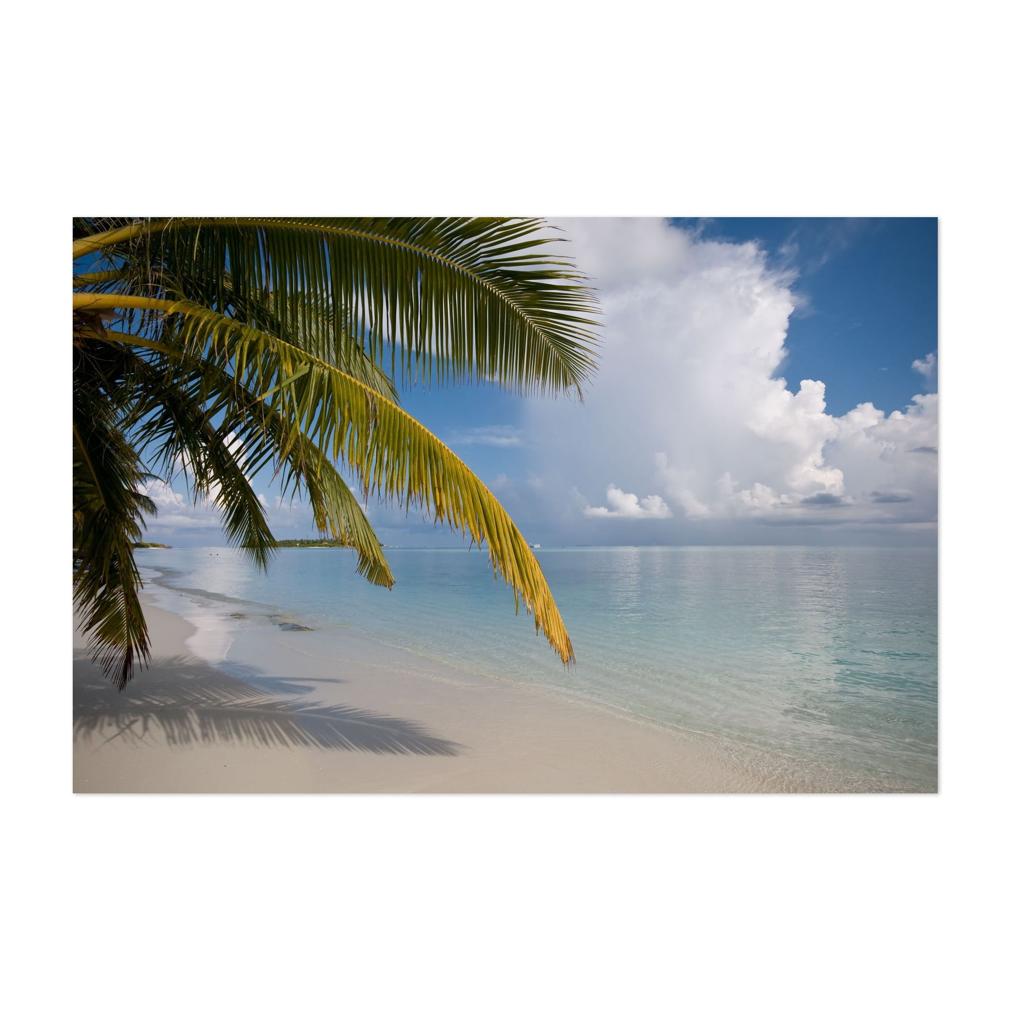 Whispering Palm on Tropical Beach - Maldives Photography Unframed Wall ...