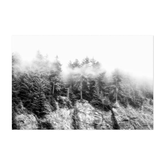 Whispering Pines - Oregon Photography Black and White Forest Foggy Nature Woodland Scenic Moody Unframed Wall Art Print 20 x 30 inches