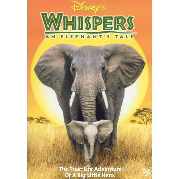 Whispers: An Elephant's Tale (DVD)