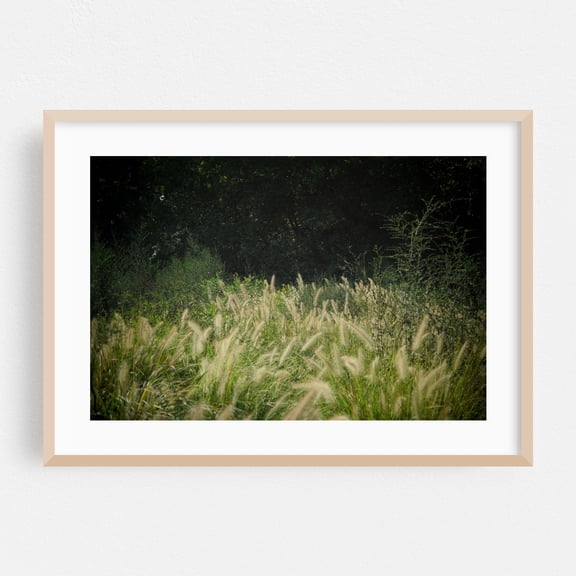 Whispers of the Meadow - Manhattan New York Photography Nature Wilderness Scenic Botanical Pastoral Woodland Countryside Oak Framed Wall Art Print 5 x 7 inches