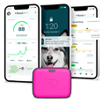 A closer look at Dog Gps Tracking Device With Signal Strength Level