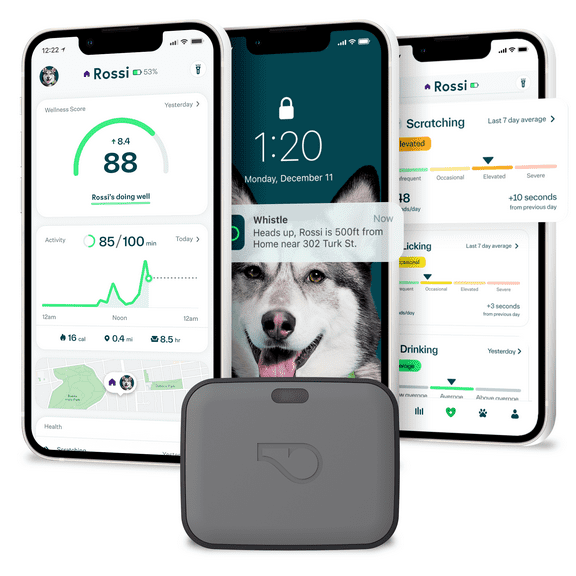 Whistle Go Explore Dog GPS Tracking Device and Pet Health Monitoring System, Grey | Fits Most Collars