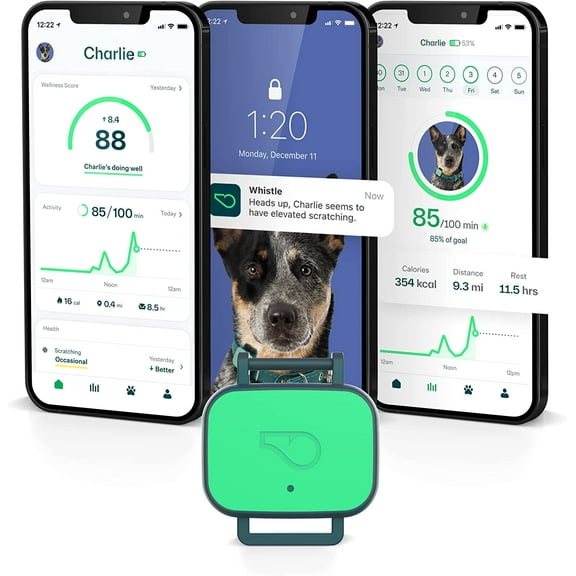 Whistle Health Smart Device | Dog Health and Fitness Tracker