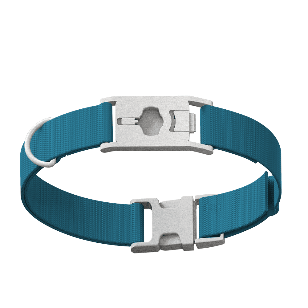 Whistle Large Twist & Go Dog Tracking Collar Compatible With Whistle GO Explore Dog GPS Tracker Device, Blue
