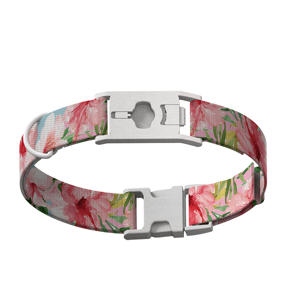 Whistle Large Twist & Go Dog Tracking Collar Compatible With Whistle GO Explore Dog GPS Tracker Device, Floral