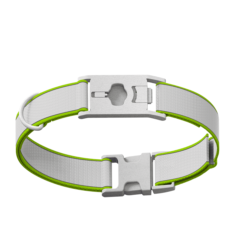 Whistle Large Twist & Go Dog Tracking Collar Compatible With Whistle GO Explore Dog GPS Tracker Device, Hi-Vis Green