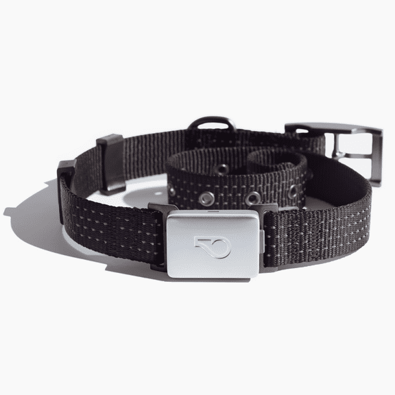 Whistle Switch Smart Collar Kit - GPS location, Health & Fitness - Waterproof GPS Pet Tracker with interchangeable batteries, Shadow (Black), S/M