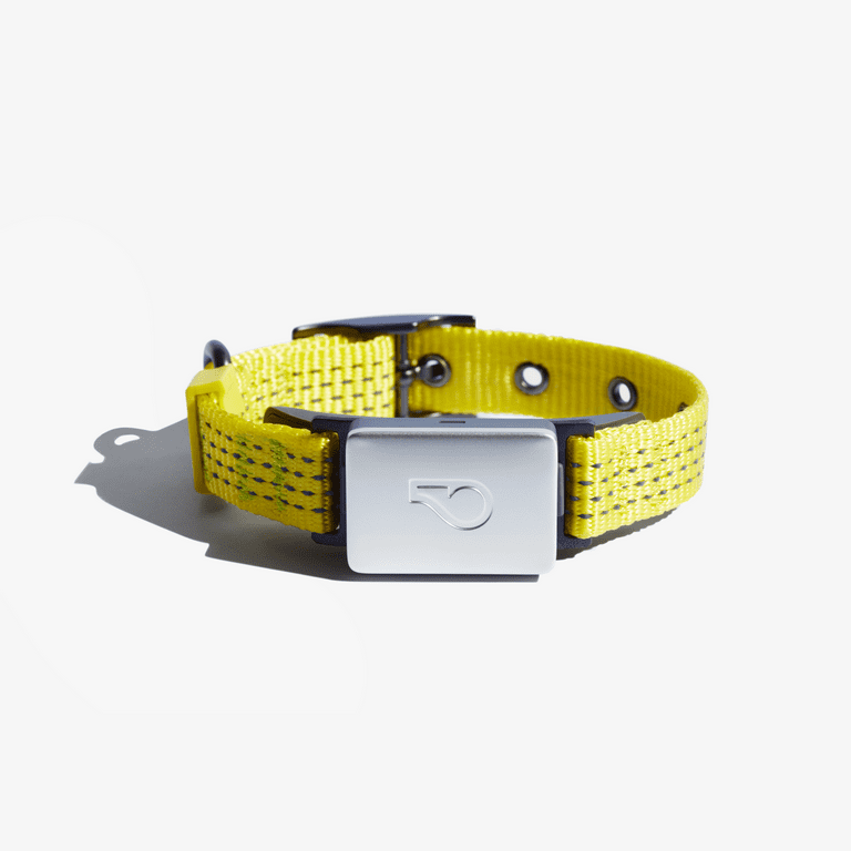 Whistle gps for cats 2025