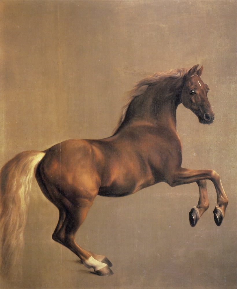 Whistlejacket 1762 Canvas Art - George Stubbs (18 x 24)