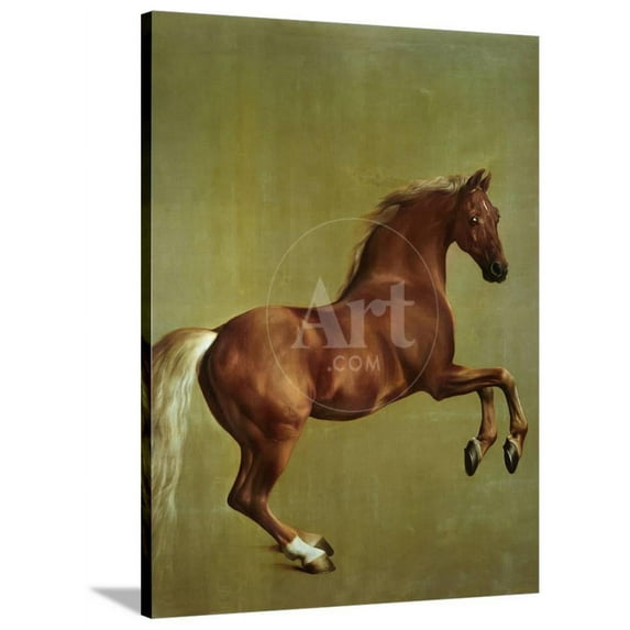 Whistlejacket, 1762, Stretched Canvas Wall Art by George Stubbs Sold by Art.Com