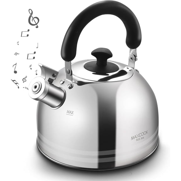 Whistling Tea Kettle, 3.17 Quart/3L Stainless Steel Tea Pot, Stove Top Tea KettleInduction Teakettle with Anti-Heat Handle (Mirror Polish)