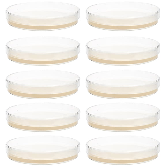 Soimiss 10pcs Pre Poured Agar Plates Transparent Agar for Cultivation in Laboratory Use