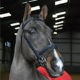 thumbnail image 1 of Whitaker Ready To Ride Leather Horse Snaffle Bridle, 1 of 4
