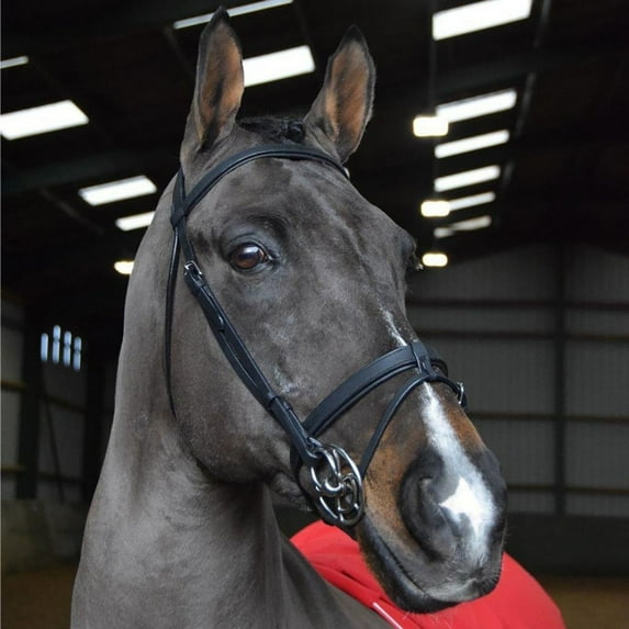 Whitaker Ready To Ride Leather Horse Snaffle Bridle