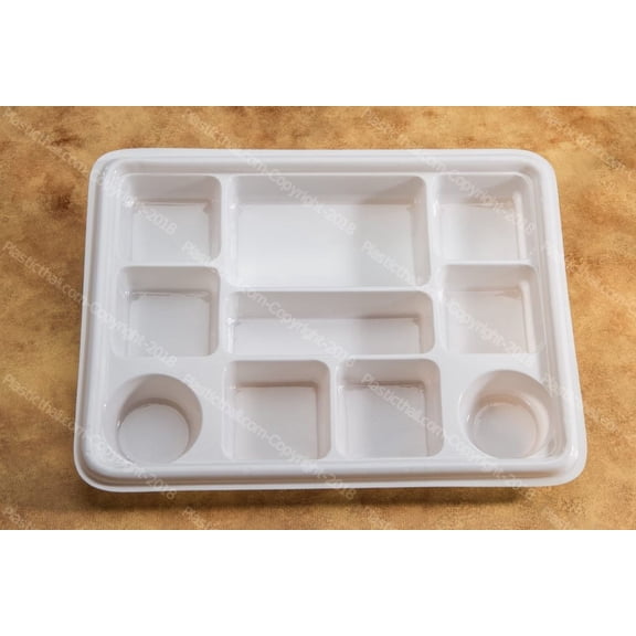White 10 Compartment Plate