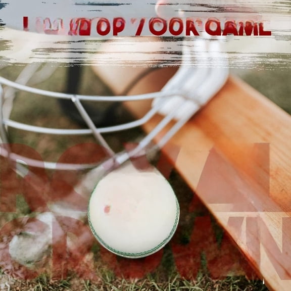 White 156g Cricket Balls 4piece Balls Pack of 6 Balls Genuine Leather ,Excellent Quality$$Sport & Recreation Other