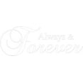 thumbnail image 1 of White 44" x 16" Decaltor Always And Forever sty3 Quotes Sayings Words Art Decor Lettering Vinyl Wall Art Inspirational Uplifting, 1 of 1