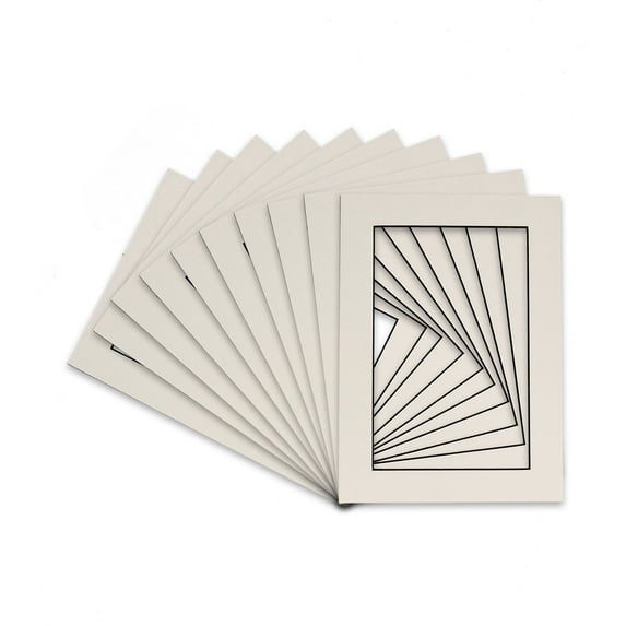White Acid Free 22x28 Picture Frame Mat with Black Core Bevel Cut for 16x20 Pictures - Fits 22x28