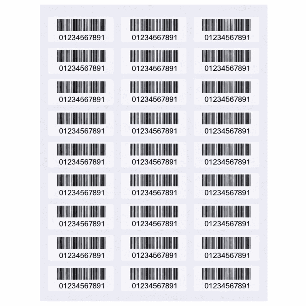 White Address Labels, 1" x 2-5/8", 30 Labels per Sheet, 1000 Sheets (30,000 Labels Total), Laser & Inkjet Compatible, 5160 Template Compatible