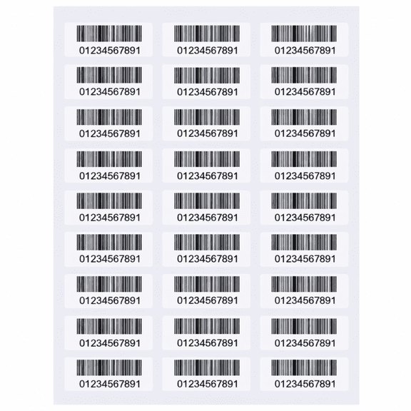 White Address Labels, 1" x 2-5/8", 30 Labels per Sheet, 1000 Sheets (30,000 Labels Total), Laser & Inkjet Compatible, 5160 Template Compatible